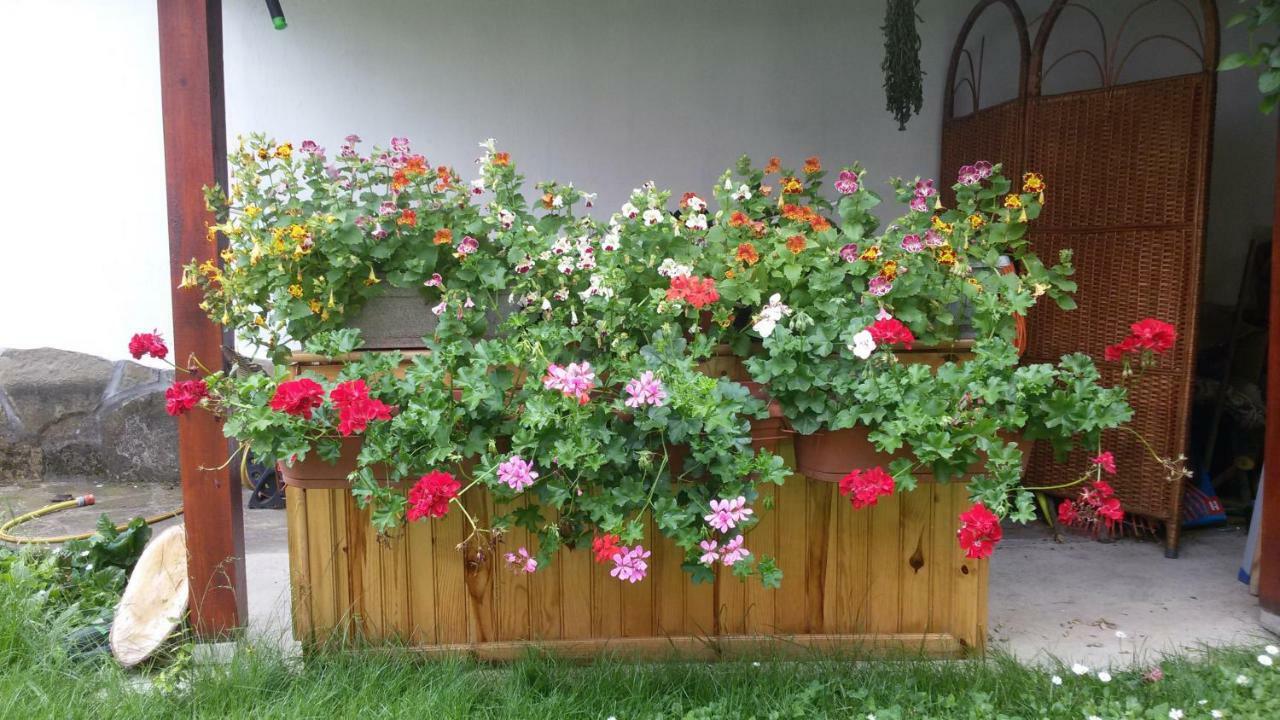 Borova House Hotel Tryavna Exterior photo